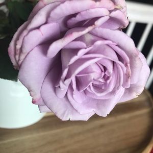 Meet your Posher, Stacey